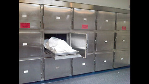 August 3- A MUST SEE Leaked Pfizer Document & UK Orders Excess Body Storage