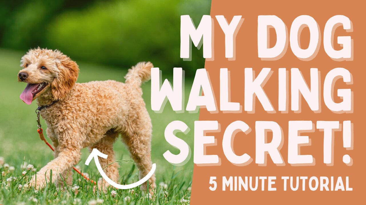 5 MINUTE DOG TRAINING RESULTS - To Walk Nice