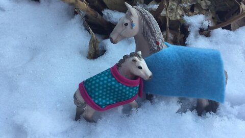 Snow day for the horses!