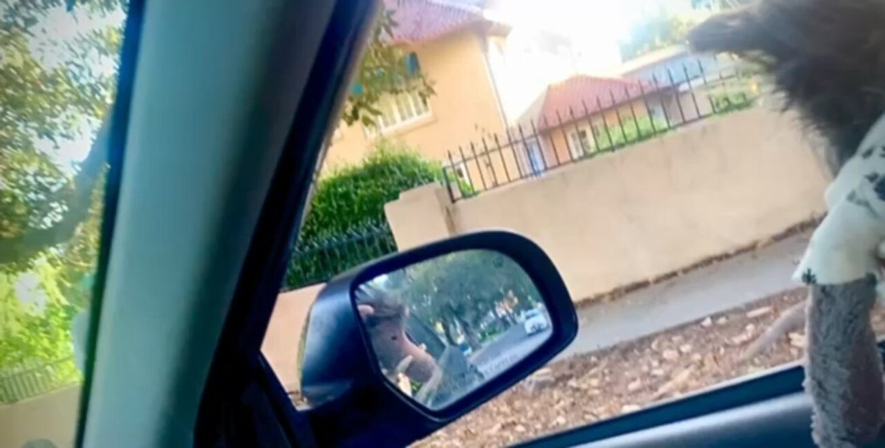 Walter has arrived in Hollywood, settling into the new studio, now to find the Hollywood sign.i