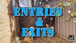 Entries & Exits with your dog