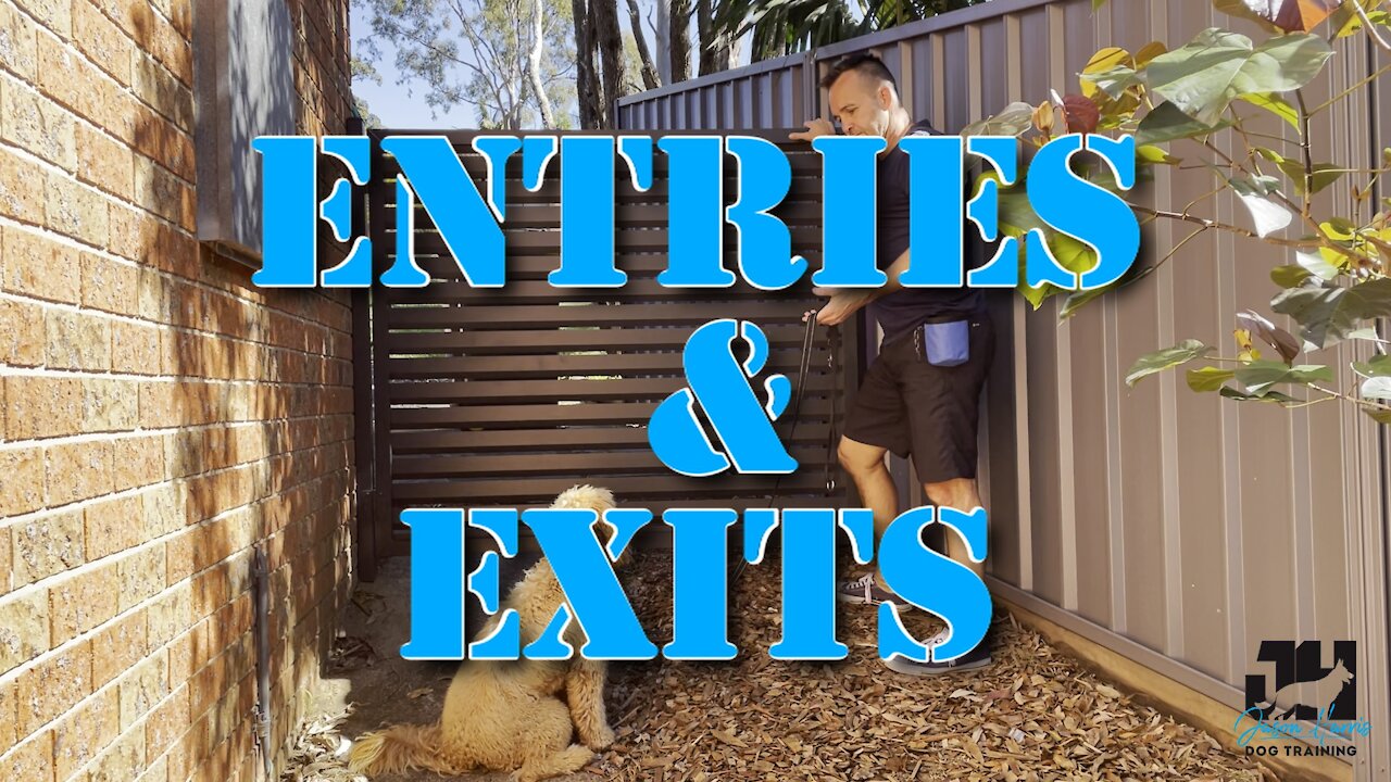 Entries & Exits with your dog