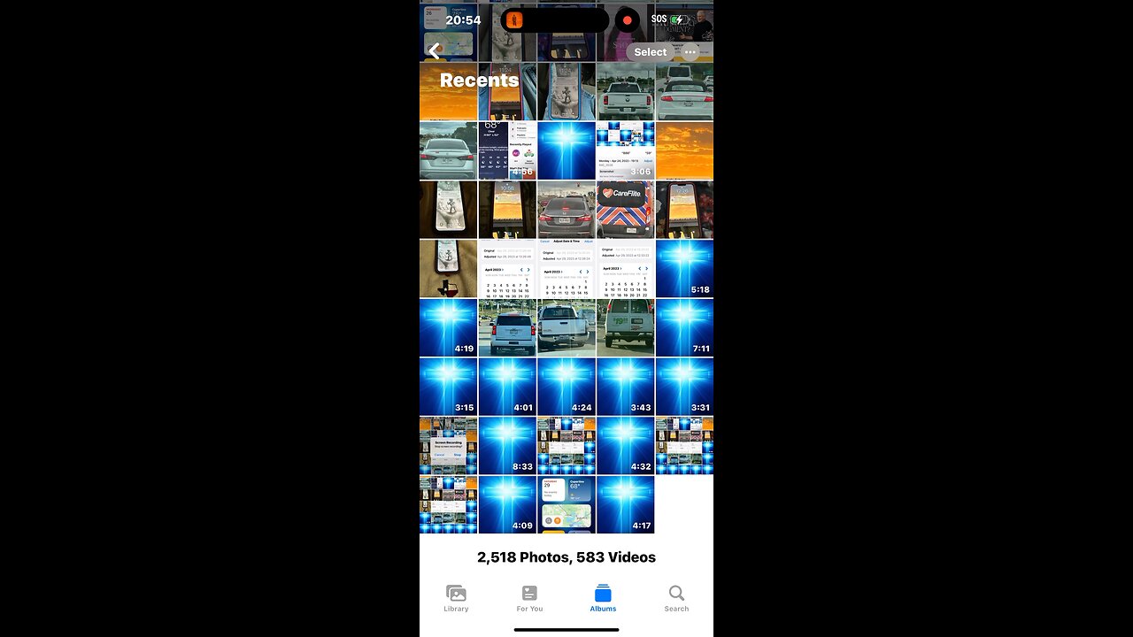 🎼❤️🦁👀🕊️👀🦁❤️🎼