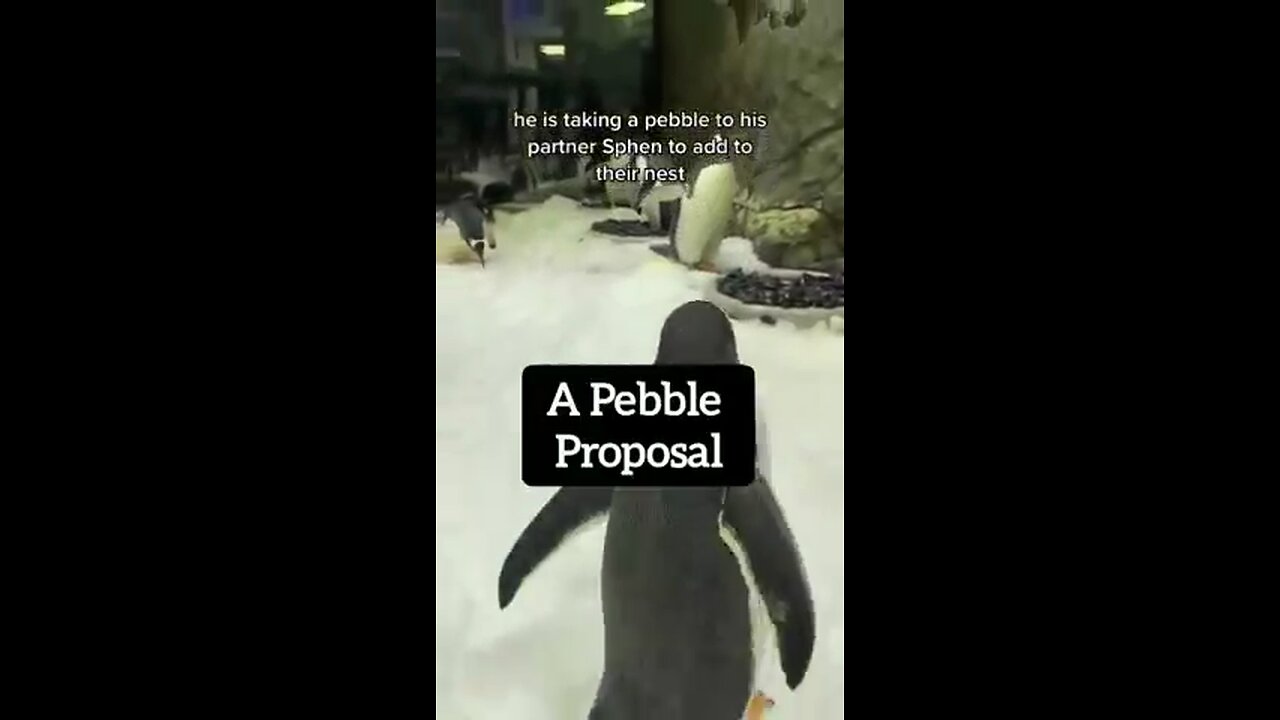 December 17, 2023
