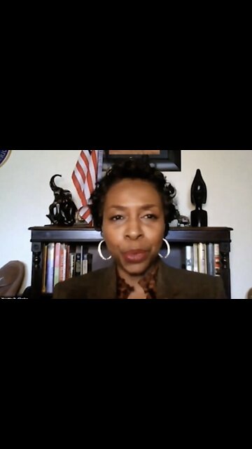 GOVERNMENT OFFICIAL ADMITS THEY NEED MORE IMMIGRANTS TO GET MORE VOTES