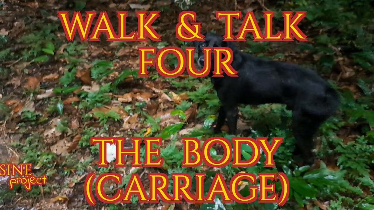 WALK & TALK 4 / THE BODY (CARRIAGE)