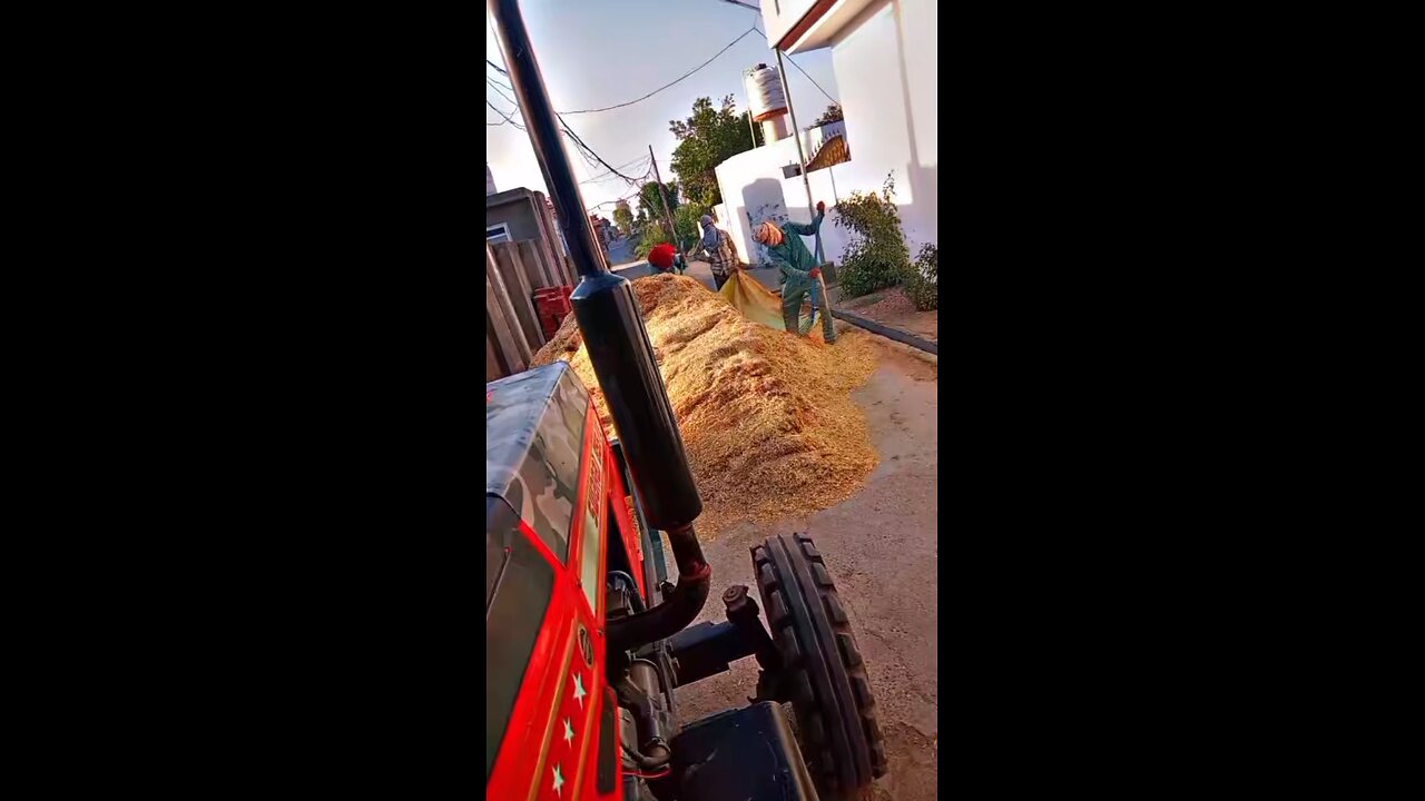 amritsar Kotla leave is funny videos 🤣🤣🤣