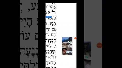the theology and Hasidic prayer of the Or Lashamayim zya