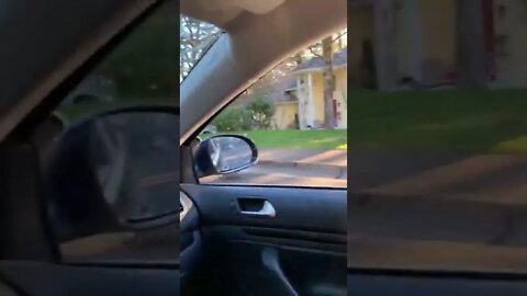 wait...wait 🦚🦚🦚🦚🦚😁😄#FUNNY ANIMALS#FUNNY #ADORABLY ANIMALS,#SHORTS
