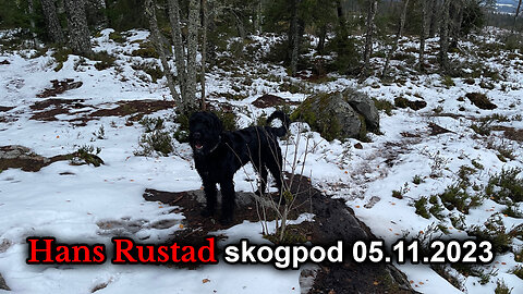 Skogpod 5. november 2023