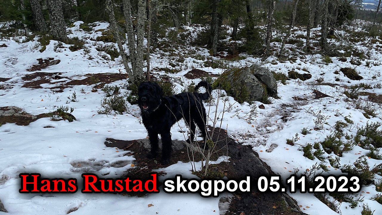 Skogpod 5. november 2023