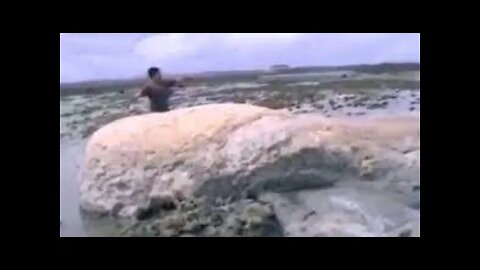 Sea Monster Filmed After Tsunami