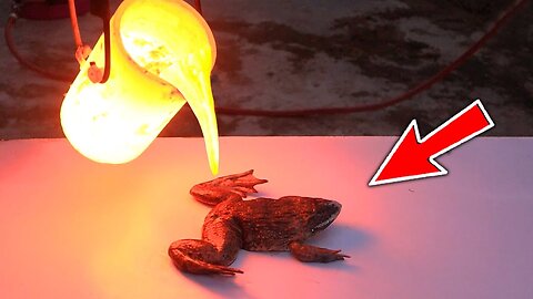 जब मेंढक के ऊपर डाल दिया लावा हुआ कुछ ऐसा चौक जाओगे आप |Top 10 Amazing Experiments