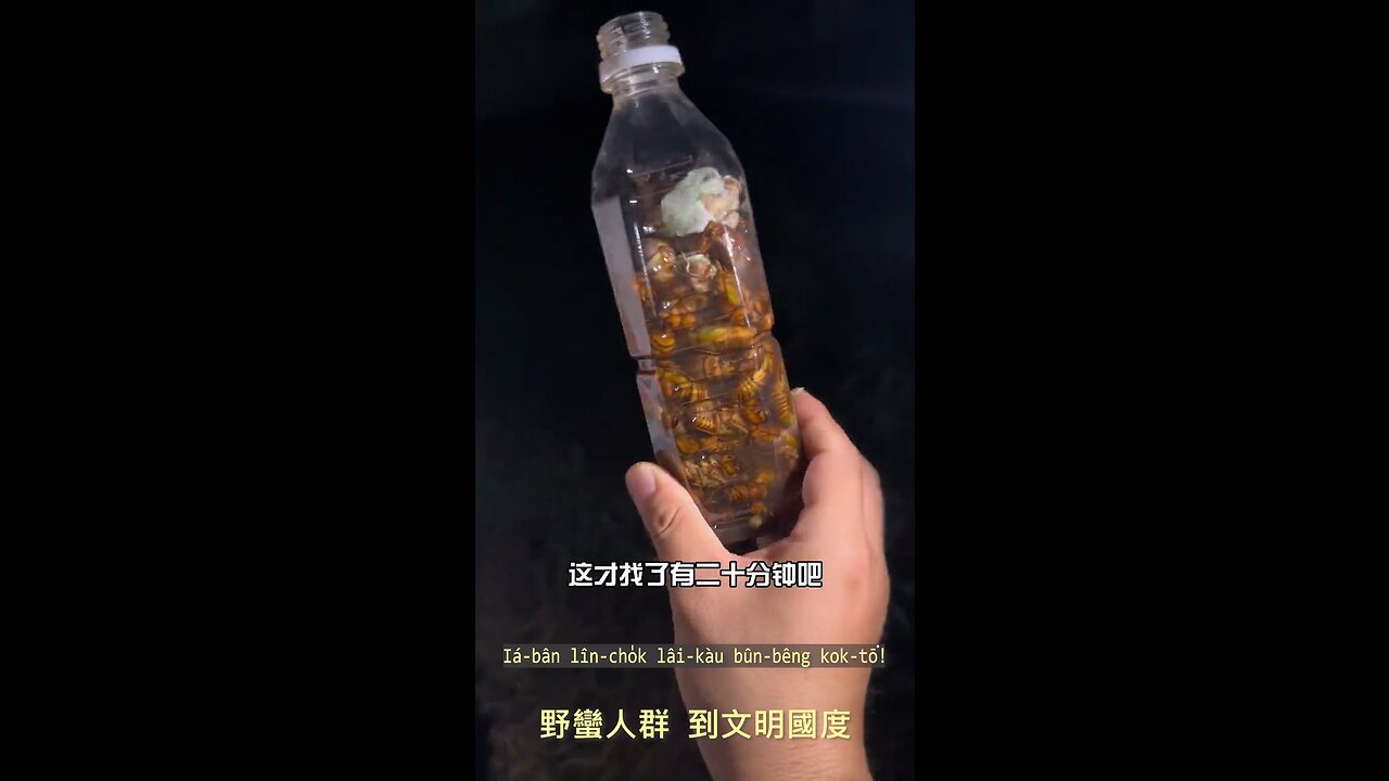 20230809 野蠻人族到文明國度！