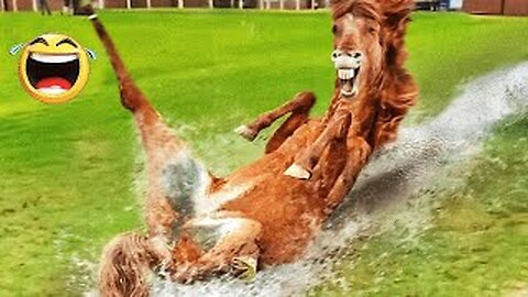 best funniest animal videos 2023 😂 funniest cats and dogs 😹🐶