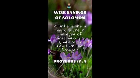 Proverbs 17:8 | NRSV Bible | Wise Sayings of Solomon