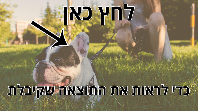 יש ביניכם קשר מיוחד במינו!