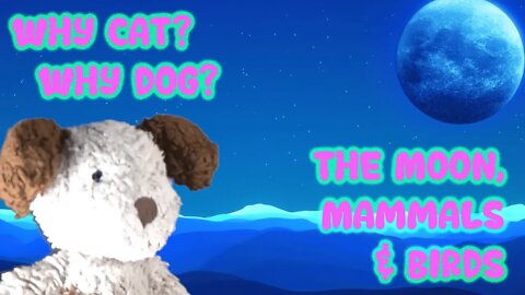 Moon & Mammals & Birds