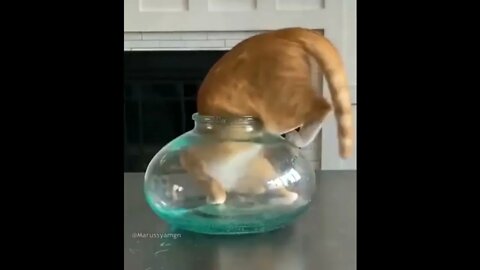 I love to live in my glass house