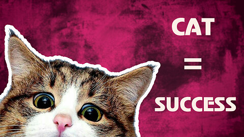 Do CATS Hold the Secret to Your Success?