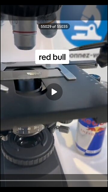 Redbull under a microscope is full of P..... OMG, gonna vomit now...