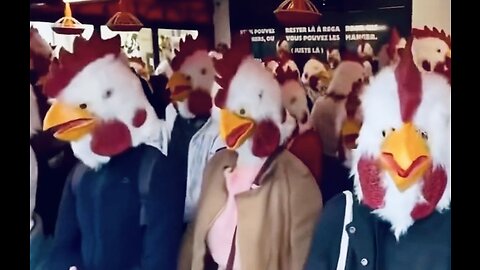 France: Vegan Protest 🐔