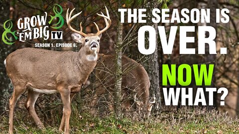 Season’s Over, Now What? | Grow 'em Big TV