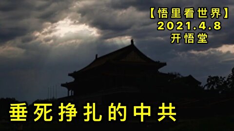 KWT1470垂死挣扎的中共20210408-10【悟里看世界】