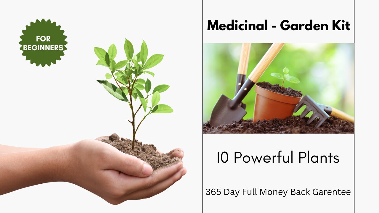 Garden Kit - Medicinal