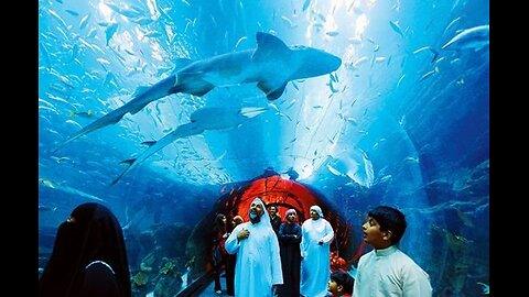 UNDER WATER ZOO,DUBAI MALL UAE,BIGGEST AQUARIUM IN THE WORLD.