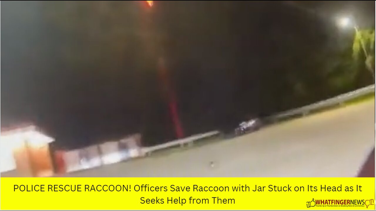 POLICE RESCUE RACCOON! Officers Save Raccoon with Jar Stuck on Its Head as It Seeks Help