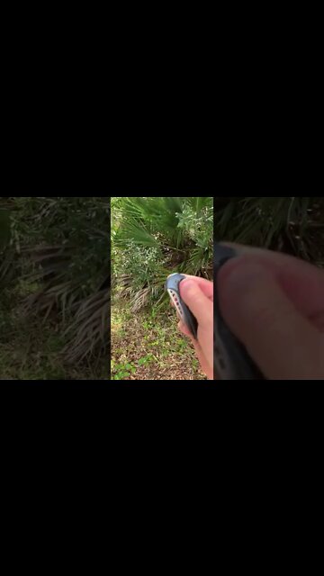 WE Mini Malice button lock flipper knife Ferrum Forge design