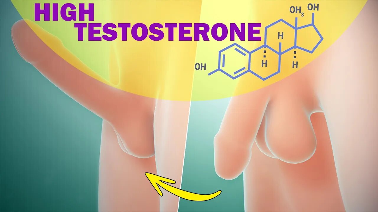 𝗧𝗼𝗽 𝟭𝟬 High Testosterone Benefits