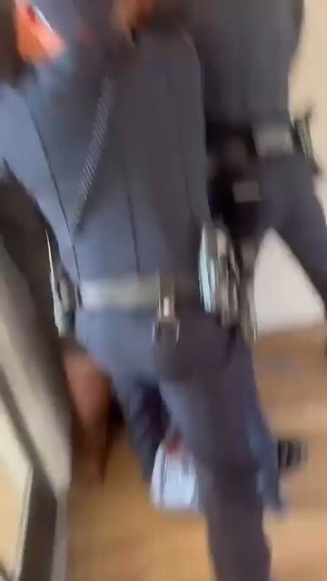 Appropriate or excessive use of force - what do y'all think 🤔⬇️