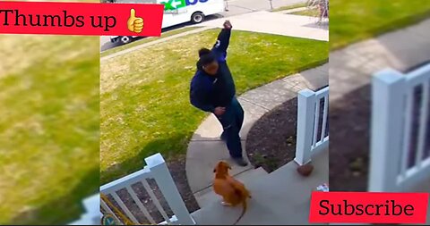 Dogs Chasing People