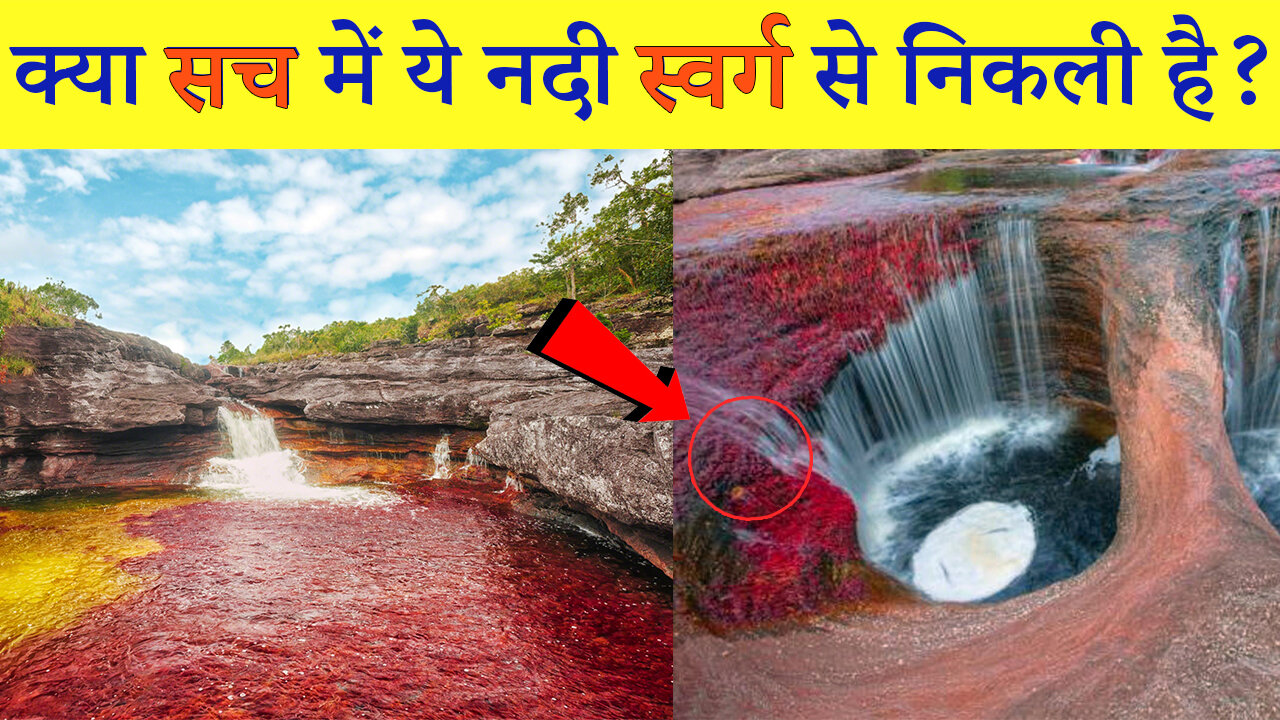 Kya Apne Cano Cristales River Ko Dekha Hai?😍😲 Have You seen Cano Cristales river?😍😲