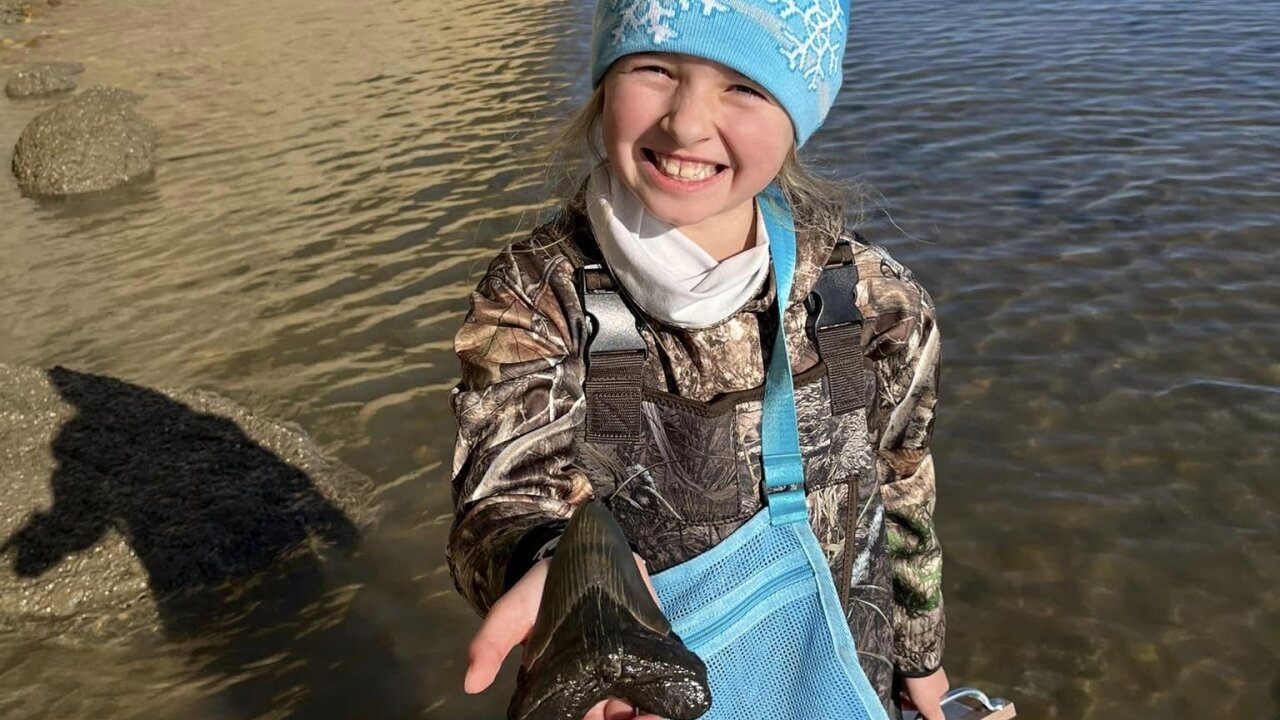 9-year-old girl finds a rare megalodon tooth in Chesapeake Bay