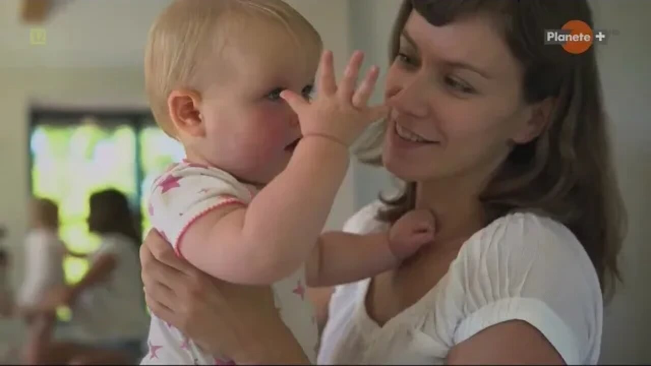 Nasze niesamowite zmysły - wzrok ^ Dokument ^ PL720p