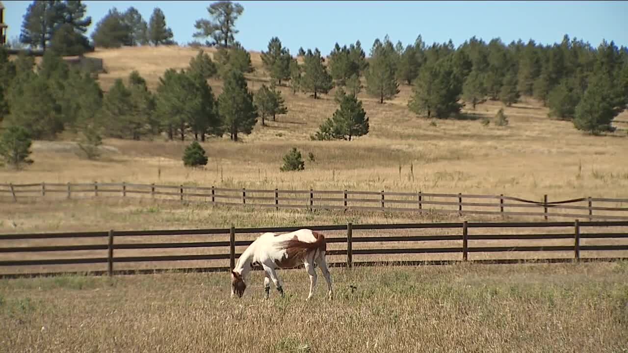 Equine therapy program organizers wonder why transportation issues were not flagged earlier