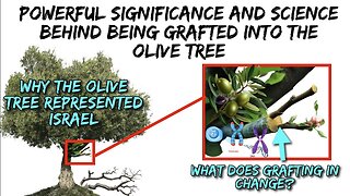 WARNING! THIS IS POWERFUL! THE SCIENCE BEHIND GRAFTING INTO THE OLIVE TREE