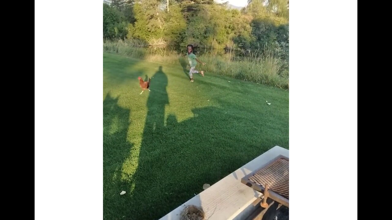 Victoria Chasing Chicken