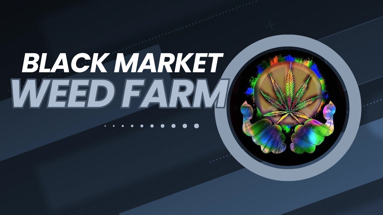 Black Market Weed Farm