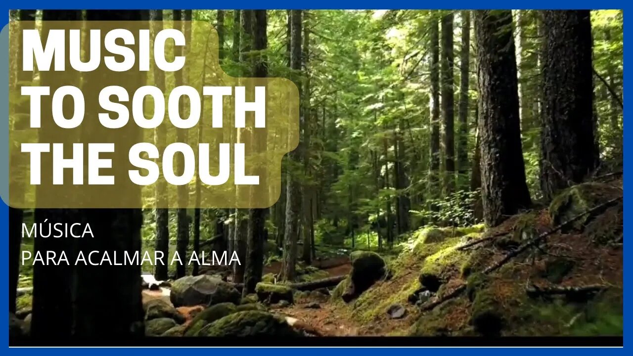 🌻 Music to Sooth the Soul | Música Para Acalmar a Alma