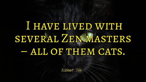 Asian Meditation Music - Zen Masters