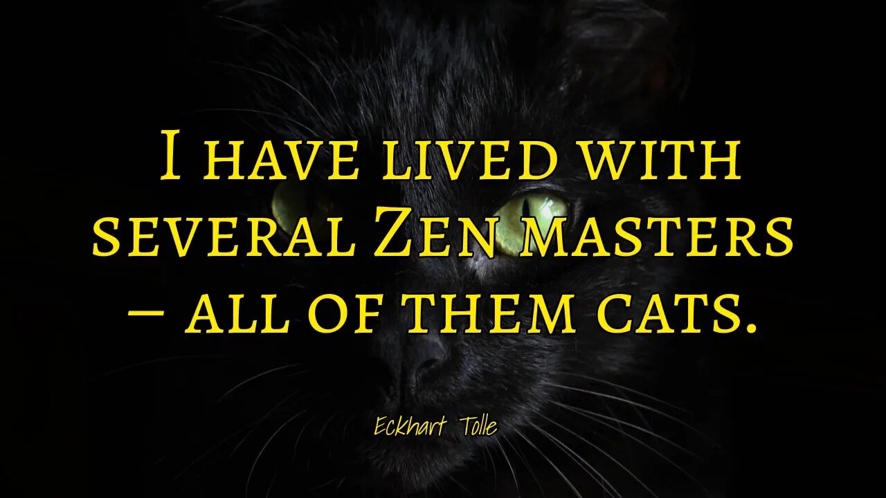 Asian Meditation Music - Zen Masters