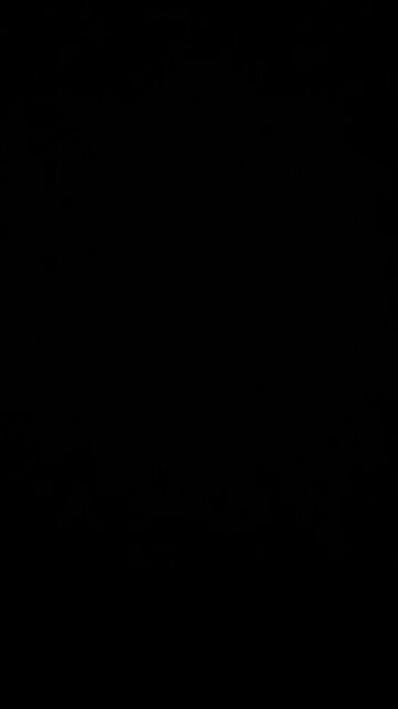 Sunday trash collection