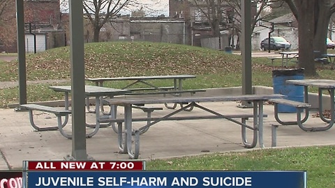 Two juveniles attempted suicide in Indianapolis last weekend