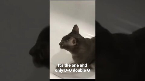 It's the one and only D-O double G #shorts