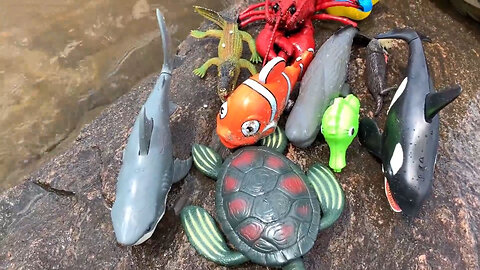 Sea Animal Toys This Summer at the Shore