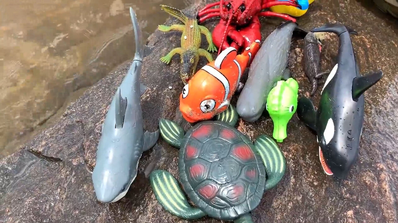 Sea Animal Toys This Summer at the Shore